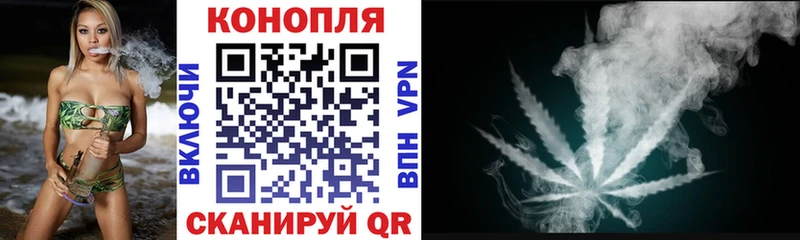 Купить где  Спасск  Конопля семена 